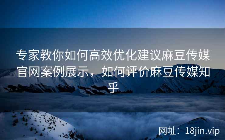 专家教你如何高效优化建议麻豆传媒官网案例展示，如何评价麻豆传媒知乎