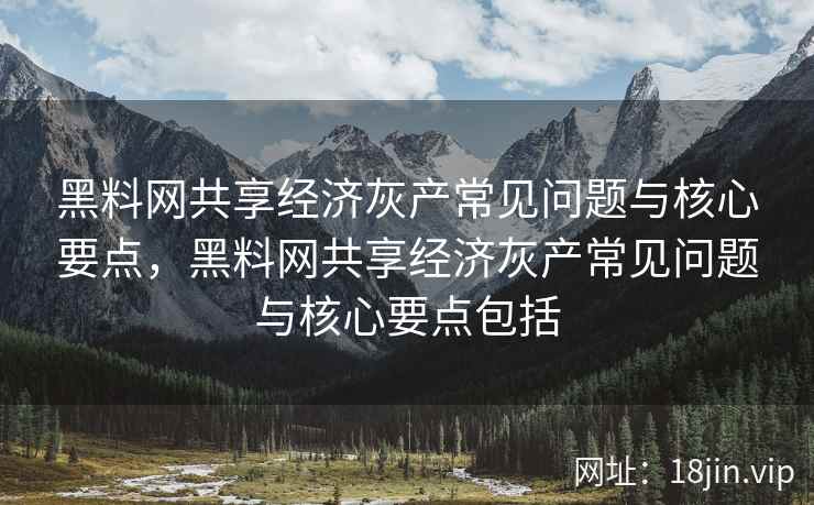 黑料网共享经济灰产常见问题与核心要点，黑料网共享经济灰产常见问题与核心要点包括