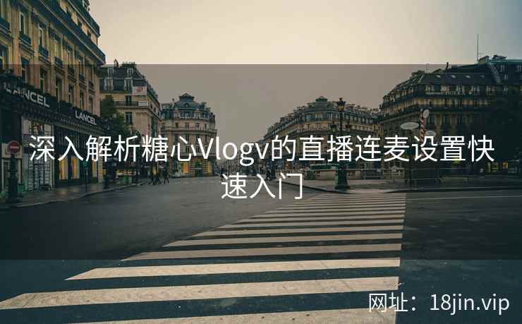 深入解析糖心Vlogv的直播连麦设置快速入门