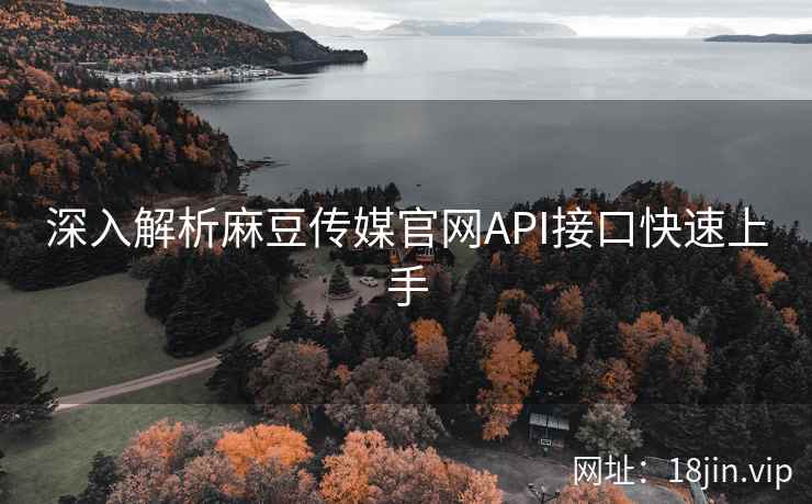 深入解析麻豆传媒官网API接口快速上手
