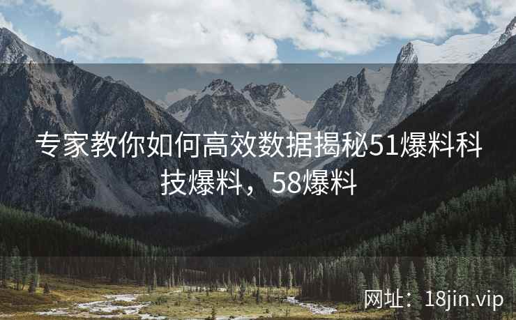 专家教你如何高效数据揭秘51爆料科技爆料，58爆料