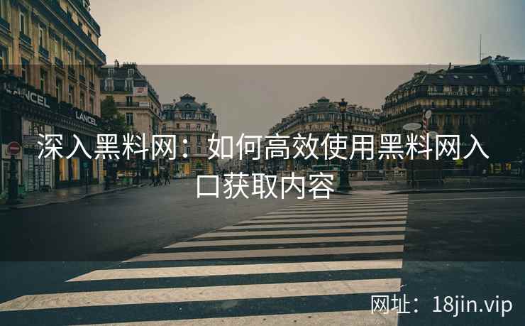 深入黑料网：如何高效使用黑料网入口获取内容
