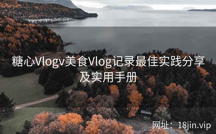 糖心Vlogv美食Vlog记录最佳实践分享及实用手册