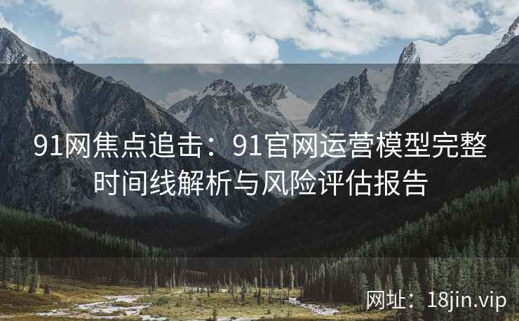 91网焦点追击：91官网运营模型完整时间线解析与风险评估报告